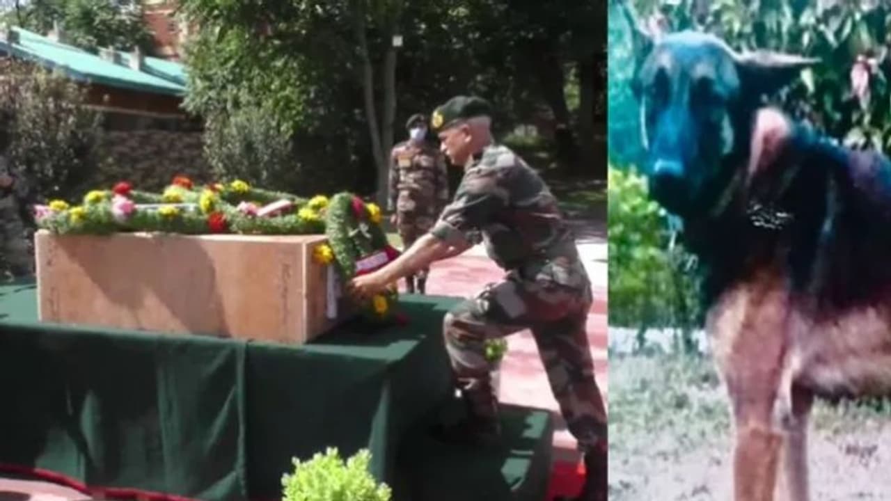 സൈനിക നടപടിക്കിടെ ഭീകരരുടെ വെടിയേറ്റ് മരണം: അക്സലിന് വിട ചൊല്ലി സൈന്യം 