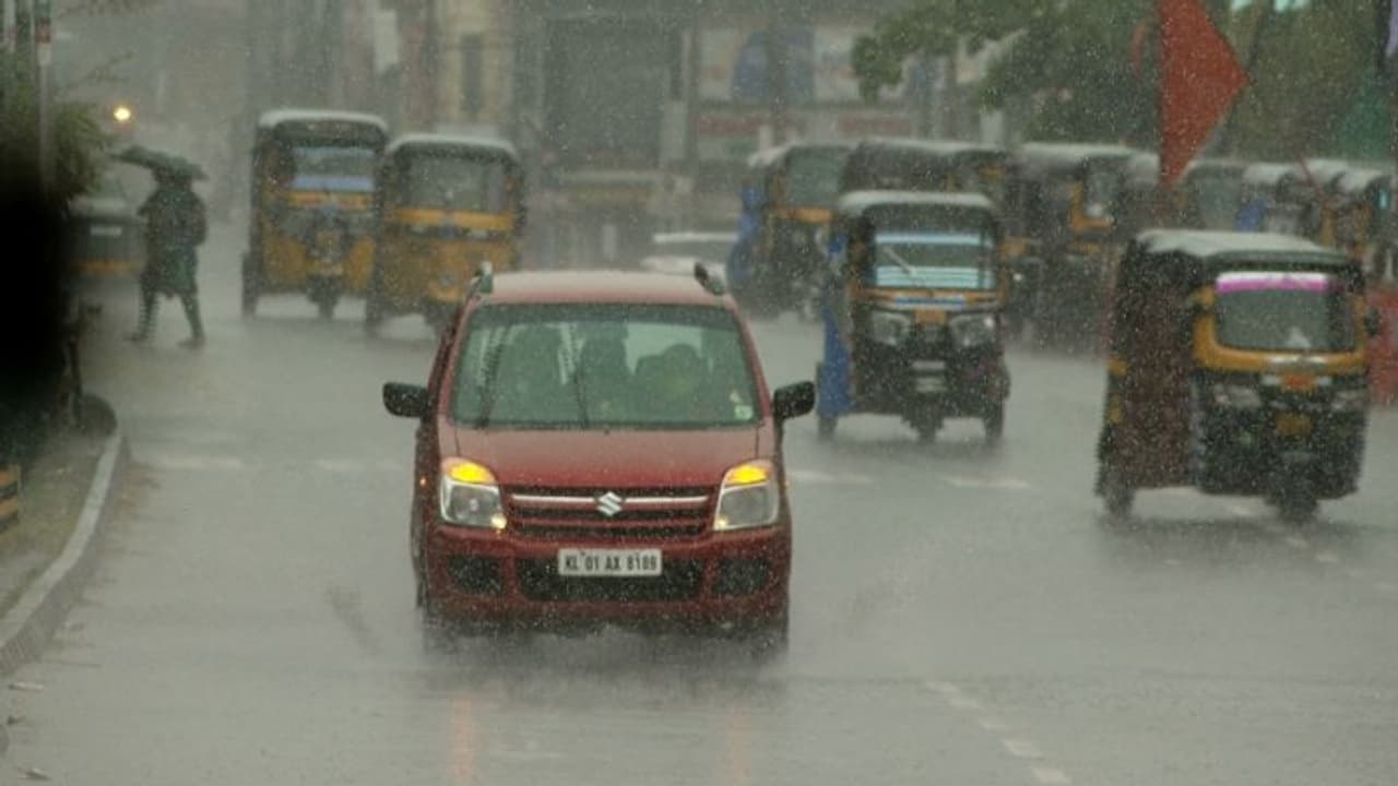 മഴ കനത്തു, പത്തനംതിട്ട ജില്ലയിൽ അവധി പ്രഖ്യാപിച്ചു; വെള്ളരിക്കുണ്ട് താലൂക്കിലും നാളെ സ്കൂൾ അവധി