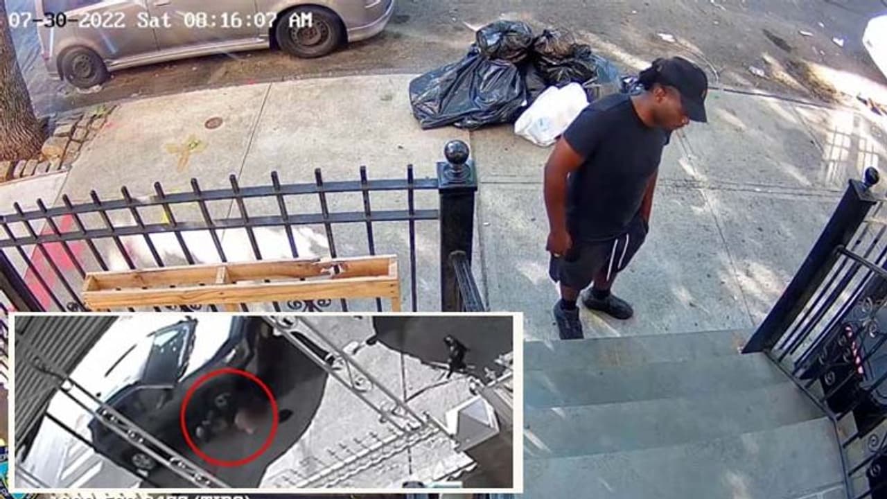 Attempt to Rape: डॉग ने भौंक भौंक कर बचाई अपनी मालकिन की इज्जत, कार के पीछे खींचकर ले गया था आरोपी Attempt to Rape: डॉग ने भौंक भौंक कर बचाई अपनी मालकिन की इज्जत, कार के पीछे खींचकर ले गया था आरोपी