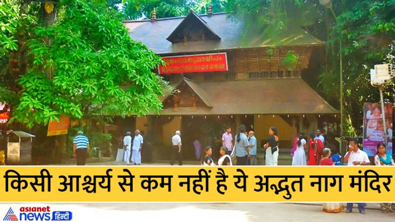 Nagpanchami 2022: केरल के इस मंदिर में हैं हजारों नाग प्रतिमाएं, इन्हें किसने और क्यों बनवाया, आज भी है रहस्य 