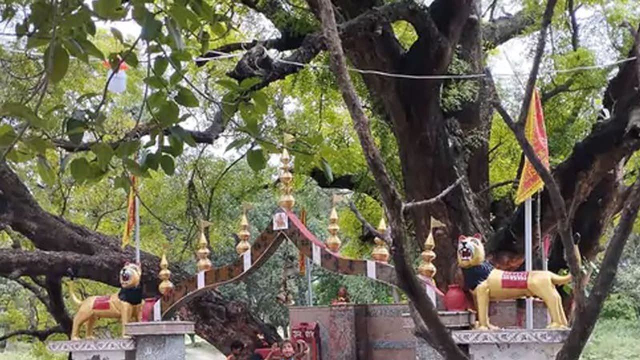 बिहार के इस मंदिर का क्या है रहस्य, जिसने ने भी इसे बनवाने की कोशिश उसके साथ घटी अजीब घटना