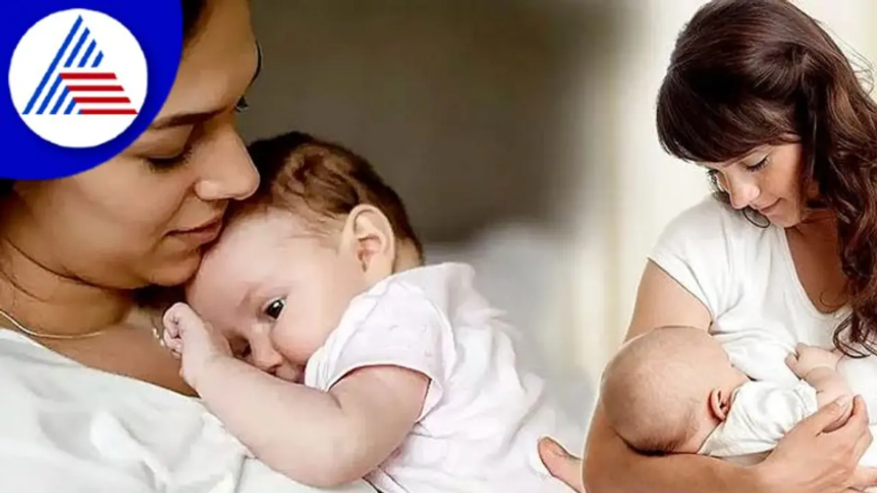 ಅಯ್ಯೋ ವಿಧಿಯೇ..ಎದೆ ಹಾಲು ಗಂಟಲಲ್ಲಿ ಸಿಲುಕಿ ನವಜಾತ ಶಿಶು ಸಾವು ಅಯ್ಯೋ ವಿಧಿಯೇ..ಎದೆ ಹಾಲು ಗಂಟಲಲ್ಲಿ ಸಿಲುಕಿ ನವಜಾತ ಶಿಶು ಸಾವು