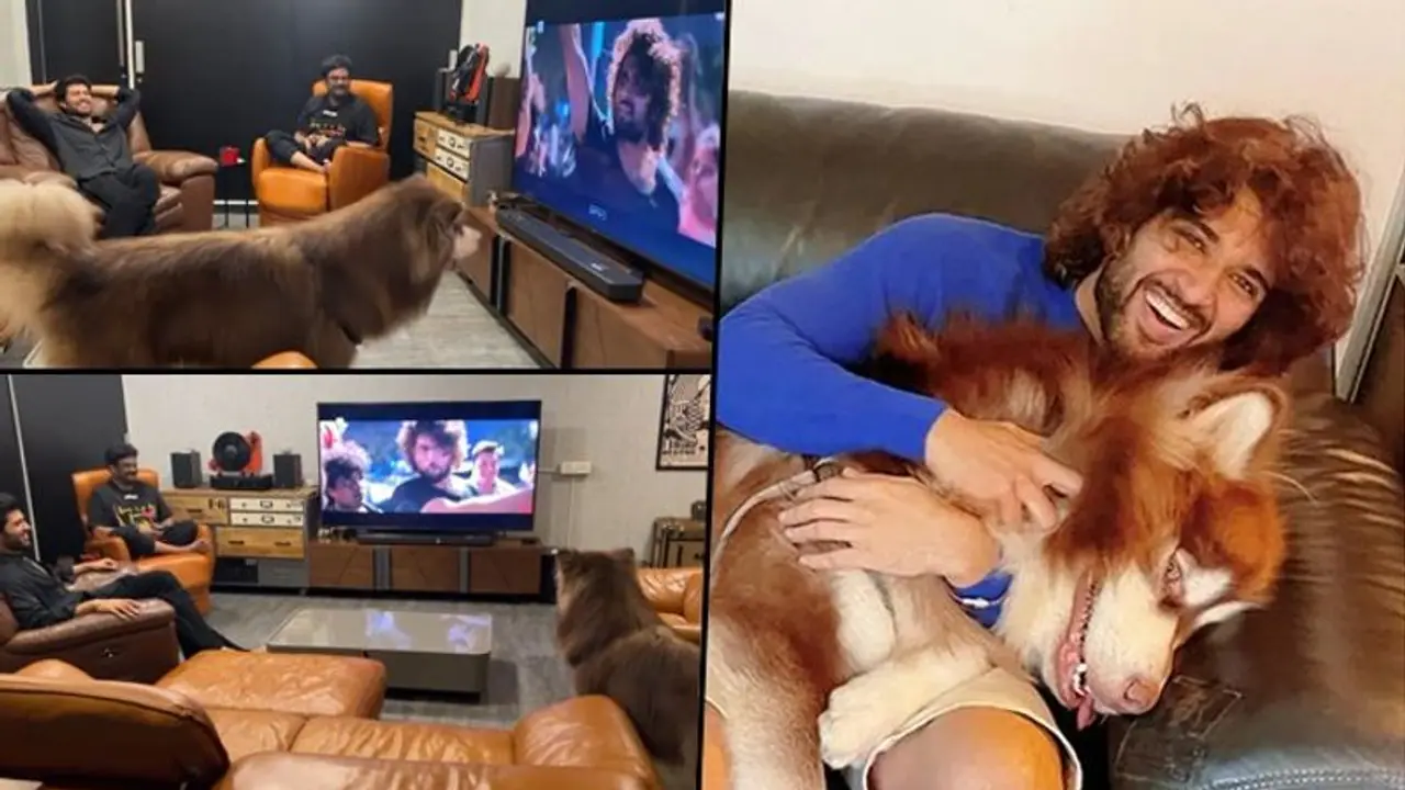 Cute Video Alert: Vijay Deverakonda and Charmme Kaur's dog enjoy 'Waat Laga Denge' song Cute Video Alert: Vijay Deverakonda and Charmme Kaur's dog enjoy 'Waat Laga Denge' song