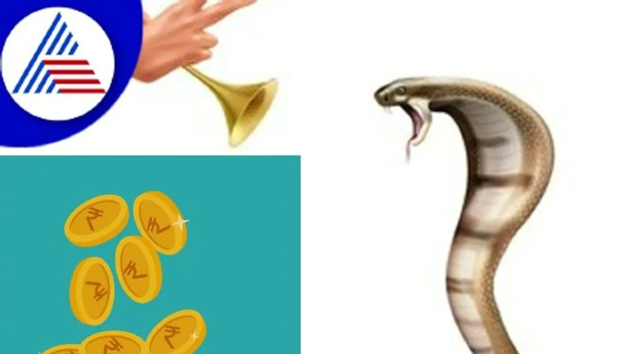 ನಾಗರ ಪಂಚಮಿ ಹಿಂದಿನ ರಾತ್ರಿ ಈ ರೀತಿ ಮಾಡಿದ್ರೆ ಶ್ರೀಮಂತಿಕೆ ಬರುತ್ತೆ!