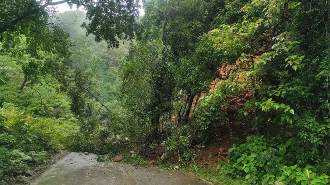 ಜೋಯಿಡಾ ಕಾರವಾರ ಹೆದ್ದಾರಿ ಸಂಚಾರಕ್ಕೆ ಮುಕ್ತಗೊಳಿಸಲು ಆಗ್ರಹ