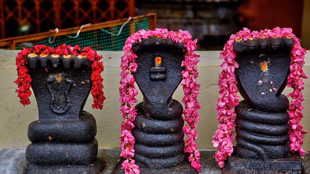 Naga Panchami 2023 : നാഗപഞ്ചമി ; ഈ ദിനത്തിന്റെ പ്രധാന്യത്തെ കുറിച്ചറിയാം 