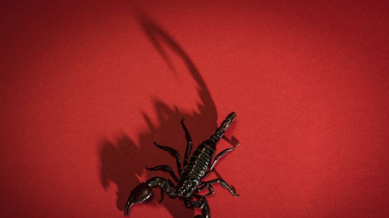 ടൂര് കഴിഞ്ഞ് വീട്ടില്വന്നപ്പോള്, അവളുടെ പെട്ടിയില് 18 തേളുകള്! ടൂര് കഴിഞ്ഞ് വീട്ടില്വന്നപ്പോള്, അവളുടെ പെട്ടിയില് 18 തേളുകള്!