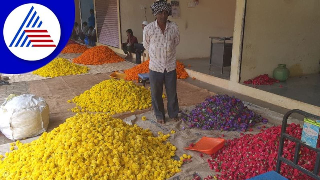 ಅತೀ ಮಳೆಗೆ ತತ್ತರಿಸಿದ ಹೂ ಬೆಳೆಗಾರರು: ಶ್ರಾವಣದ ಮೊದಲ ಸೋಮವಾರವೂ ಹೂವಿಗಿಲ್ಲ ಬೆಲೆ