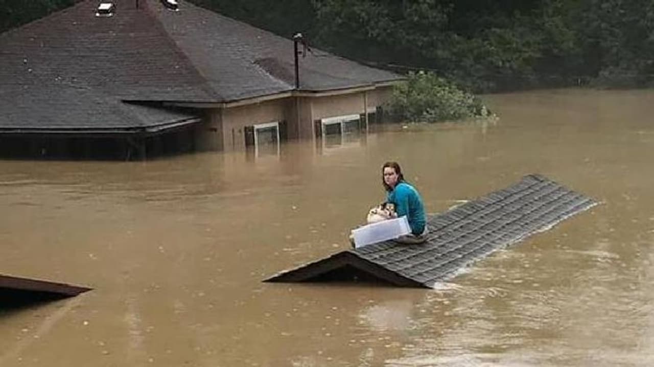 മഴയിൽ അഞ്ച് മണിക്കൂർ കെട്ടിടത്തിന് മുകളിൽ, പ്രിയപ്പെട്ട നായയെ കൈവിടാതെ 17 കാരി 