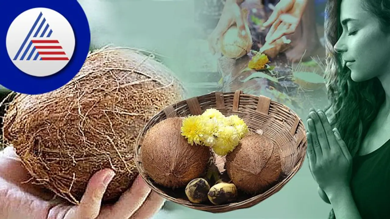 ಮಹಿಳೆಯರು ತೆಂಗಿನಕಾಯಿ ಒಡೆದ್ರೆ ಮಕ್ಕಳಿಗೆ ಸಮಸ್ಯೆ! ಮಹಿಳೆಯರು ತೆಂಗಿನಕಾಯಿ ಒಡೆದ್ರೆ ಮಕ್ಕಳಿಗೆ ಸಮಸ್ಯೆ!