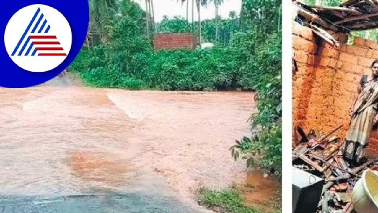 ಮಳೆ ಹಾನಿ: ದ.ಕ. ಜಿಲ್ಲಾಡಳಿತದಿಂದ ಅಗತ್ಯ ಪರಿಹಾರ ಕ್ರಮ ಮಳೆ ಹಾನಿ: ದ.ಕ. ಜಿಲ್ಲಾಡಳಿತದಿಂದ ಅಗತ್ಯ ಪರಿಹಾರ ಕ್ರಮ