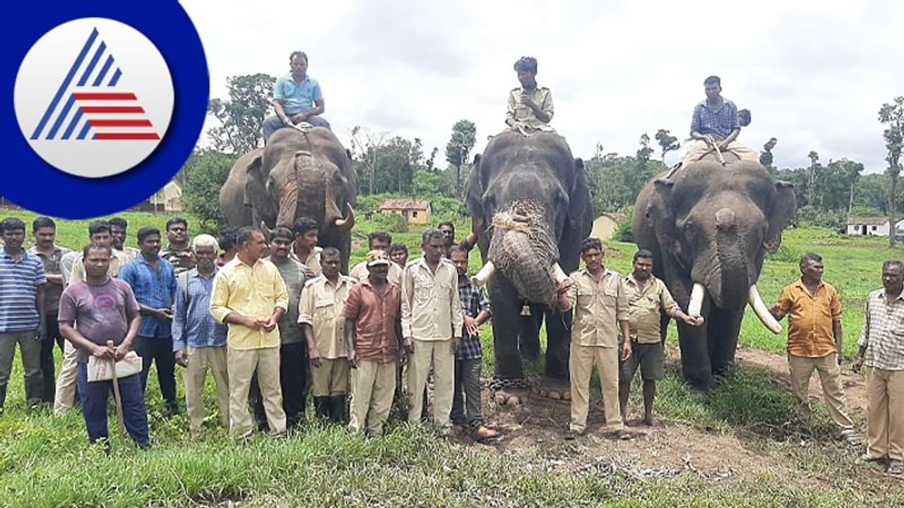 ದಸರಾ ಬಹಿಷ್ಕರಿಸಲು ಆನೆ ಮಾವುತ, ಕಾವಡಿಗರ ಸಂಘ ನಿರ್ಧಾರ ದಸರಾ ಬಹಿಷ್ಕರಿಸಲು ಆನೆ ಮಾವುತ, ಕಾವಡಿಗರ ಸಂಘ ನಿರ್ಧಾರ