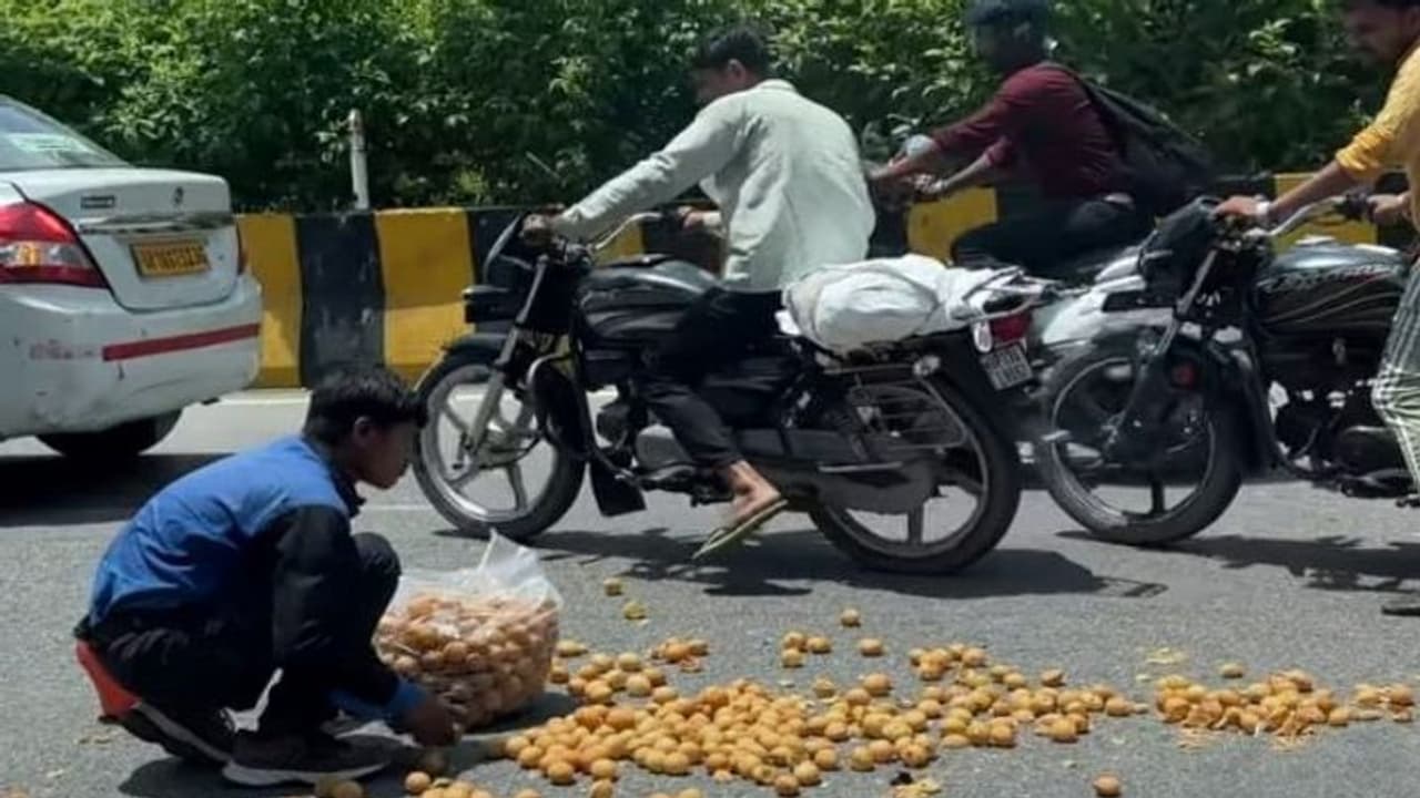 सड़क पर बिखर गए गोलगप्पे, वीडियो बनाकर जिसने इंटरनेट पर डाला.. उसकी तो आ गई शामत, यूजर्स ने लगा दी क्लास सड़क पर बिखर गए गोलगप्पे, वीडियो बनाकर जिसने इंटरनेट पर डाला.. उसकी तो आ गई शामत, यूजर्स ने लगा दी क्लास