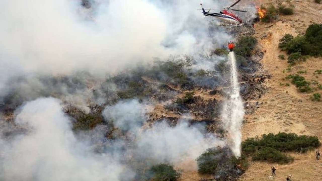  ചിലന്തിയെ കൊല്ലാൻ തീയിട്ടു, കാട്ടുതീ പടർത്തിയതിന് യുവാവ് പൊലീസ് പിടിയിൽ