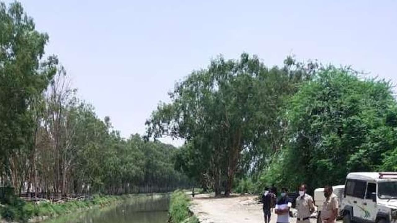 अंबाला में नहर के किनारे का दृश्य देख कांप गया किसान, टैटू खोल सकता है कई राज