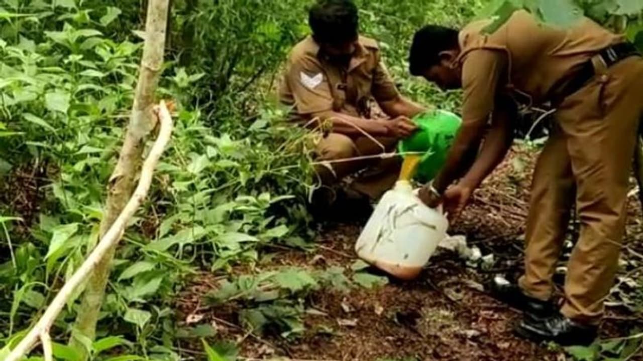 ഓണത്തിന് മുന്നേ എക്‌സൈസിന്റെ സ്പെഷ്യൽ പരിശോധന: 164 ലിറ്റർ വാഷ് കണ്ടെടുത്തു