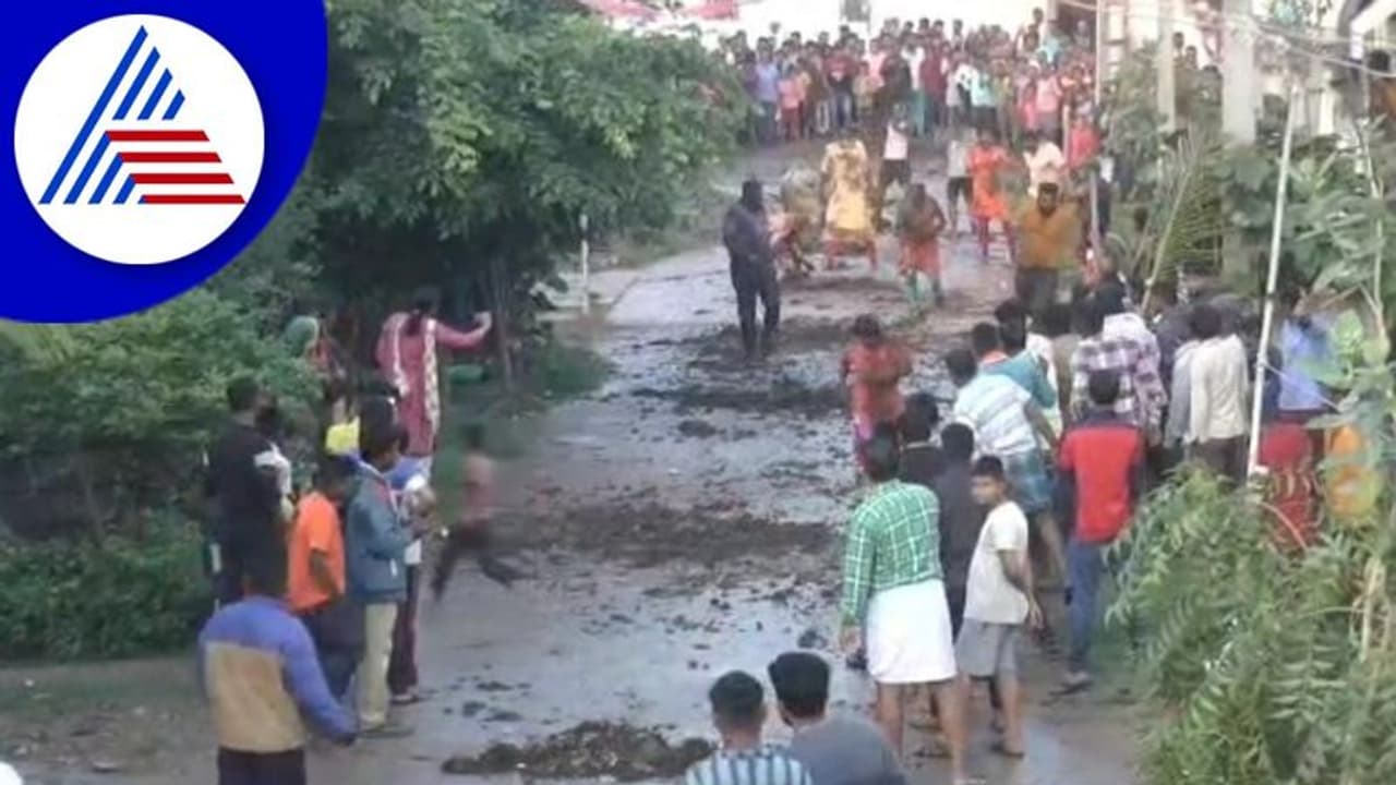 ಬಣ್ಣ ಅಲ್ಲ ಸೆಗಣಿ ಎರಚಿ ಇಲ್ಲಿ ಹಬ್ಬ ಆಚರಿಸ್ತಾರೆ: ರೈತರ ಮಕ್ಕಳ ಸೆಗಣಿಯಾಟ