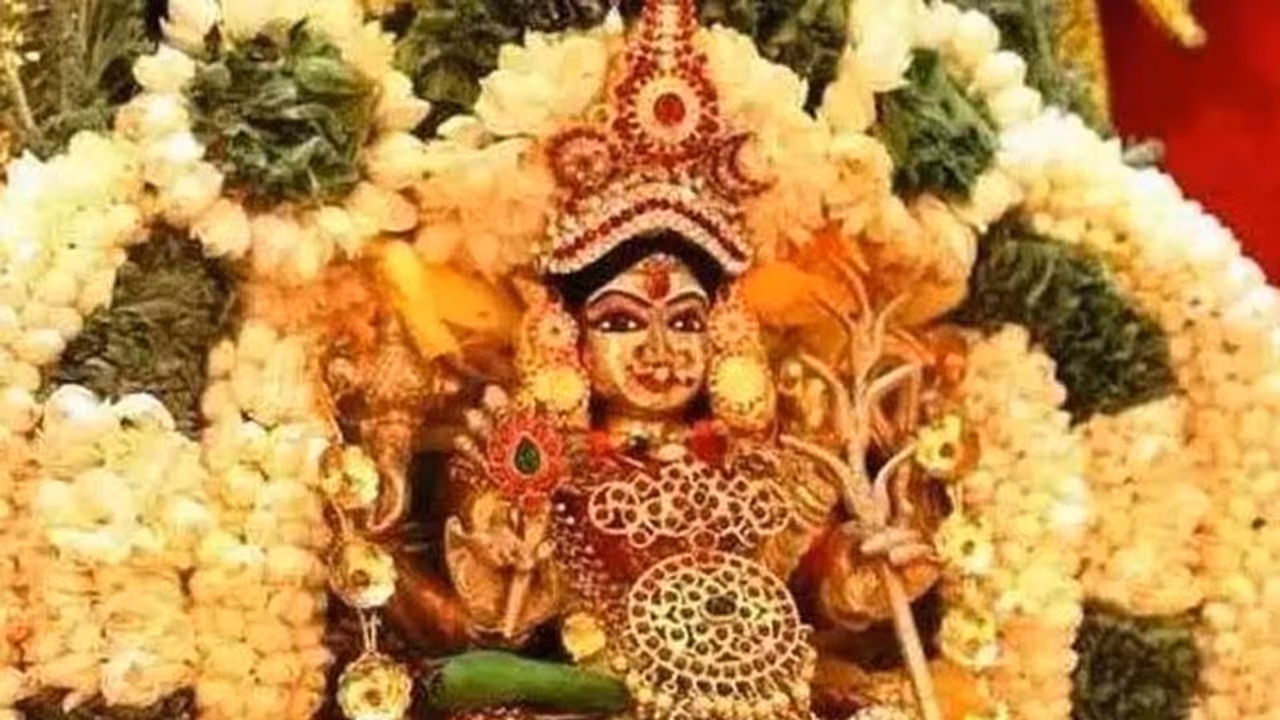 வரலட்சுமி விரதம் 2024 : விரதம் இருக்கும் பெண்கள் எந்த மாதிரியான உணவுகள் சாப்பிடலாம்? வரலட்சுமி விரதம் 2024 : விரதம் இருக்கும் பெண்கள் எந்த மாதிரியான உணவுகள் சாப்பிடலாம்?