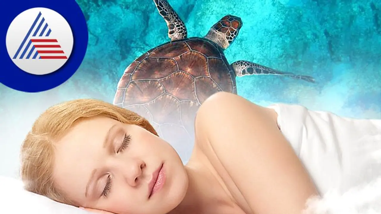 ಈ ಒಂದು ವಿಷಯ ಕನಸಲ್ಲಿ ಕಂಡ್ರೆ ಸಧ್ಯದಲ್ಲೇ ಶ್ರೀಮಂತರಾಗಲಿದ್ದೀರಿ ಎಂದರ್ಥ!