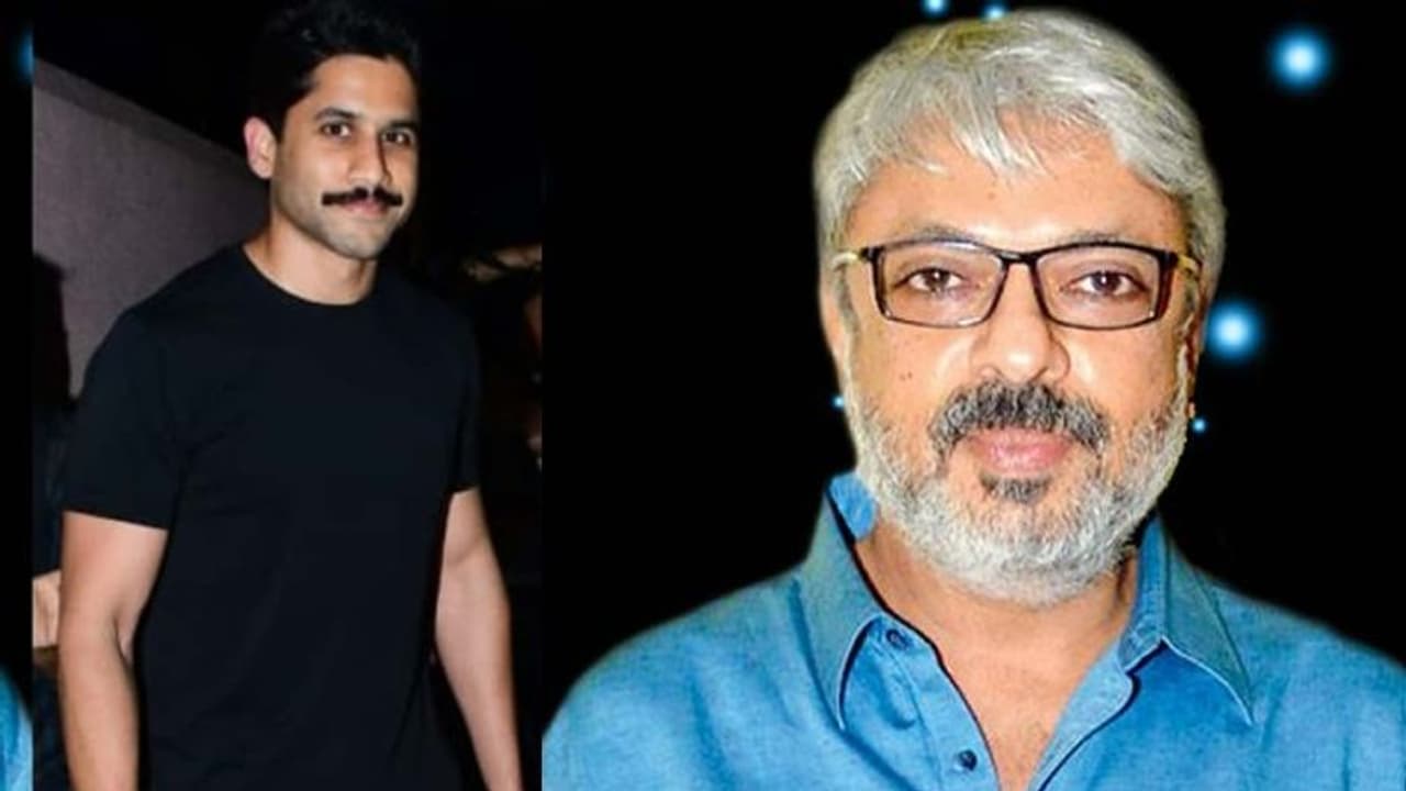 అక్కినేని హీరోతో బాలీవుడ్ స్టార్ డైరెక్టర్ సంజయ్ లీలా బన్సాలీ సినిమా..? అక్కినేని హీరోతో బాలీవుడ్ స్టార్ డైరెక్టర్ సంజయ్ లీలా బన్సాలీ సినిమా..?