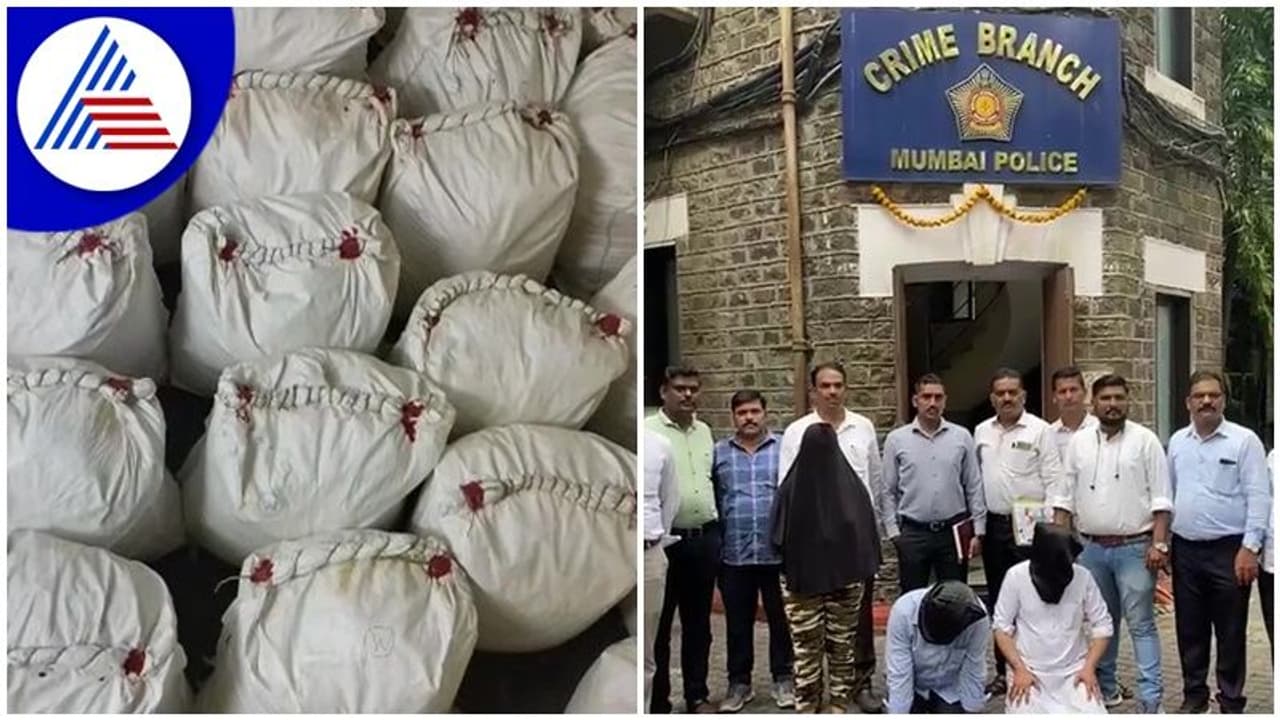 700 ಕೆಜಿ 'ಮಿಯಾವ್ ಮಿಯಾವ್' ಡ್ರಗ್‌ ವಶ, ಇದರ ಮೌಲ್ಯ 1400 ಕೋಟಿ ರೂಪಾಯಿ!