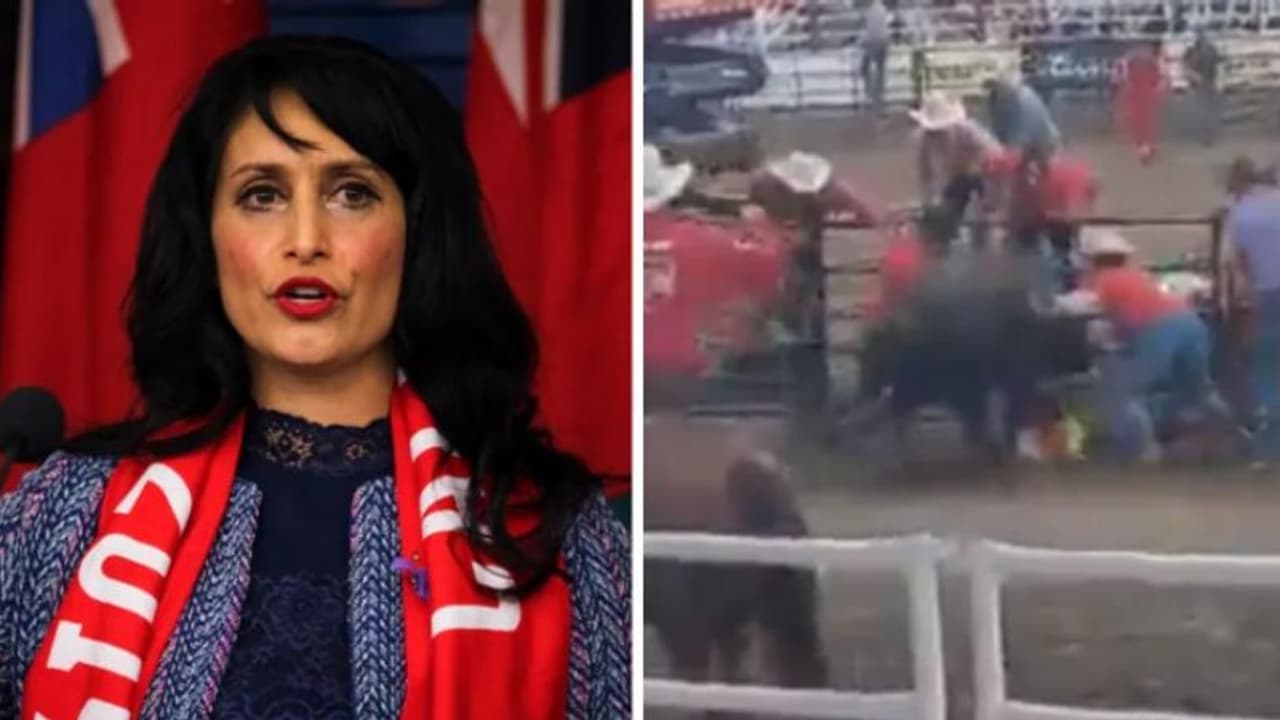 Video: കാളക്കൂറ്റനുമുന്നിലേക്ക് ചാടിവീണ് യുവാവിനെ രക്ഷിച്ചു, കാനഡയില് താരമായി ലീല! Video: കാളക്കൂറ്റനുമുന്നിലേക്ക് ചാടിവീണ് യുവാവിനെ രക്ഷിച്ചു, കാനഡയില് താരമായി ലീല!