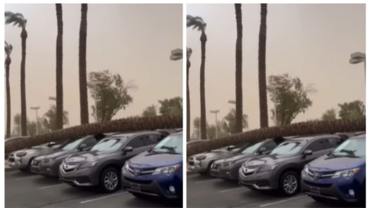 ഈ വാഹന ഡീലര്ഷിപ്പിനു മുകളില് മരം വീണു, കുലുക്കമില്ലാതെ എസ്യുവികള്! ഈ വാഹന ഡീലര്ഷിപ്പിനു മുകളില് മരം വീണു, കുലുക്കമില്ലാതെ എസ്യുവികള്!