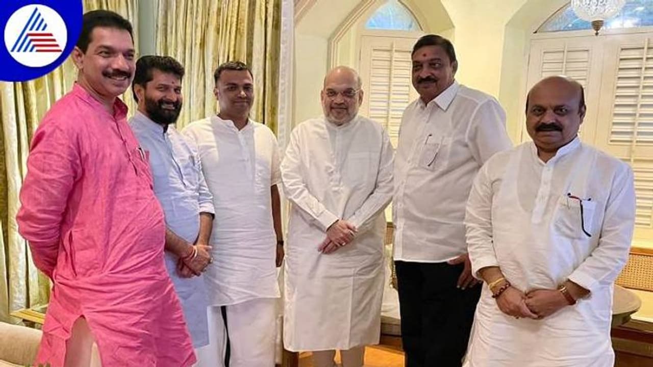 ಸರ್ಕಾರದ ವರ್ಚಸ್ಸು ವೃದ್ಧಿಸಿ ಪಕ್ಷ ಸಂಘಟಿಸಿ: ಅಮಿತ್‌ ಶಾ 