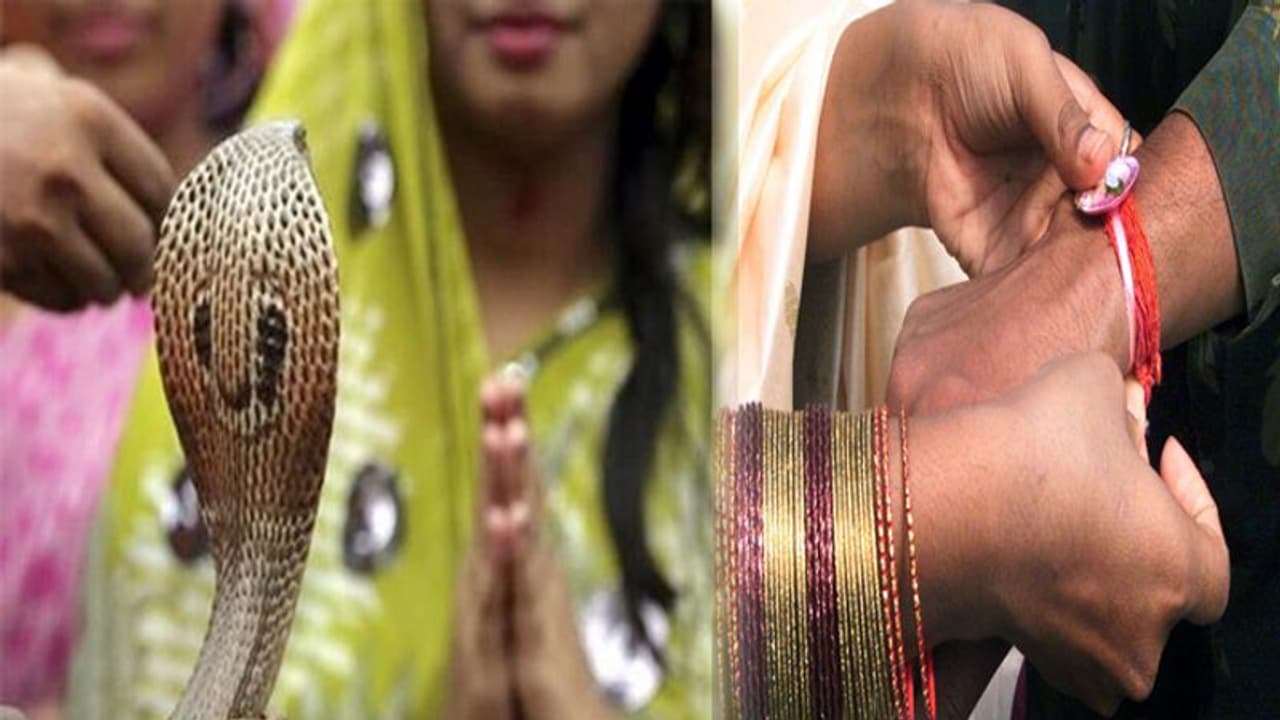 यहां नाग को दूध चढ़ाकर बहनें मनाती हैं 'रक्षाबंधन', भाई की पीठ पर लगाती हैं ये पवित्र चीज
