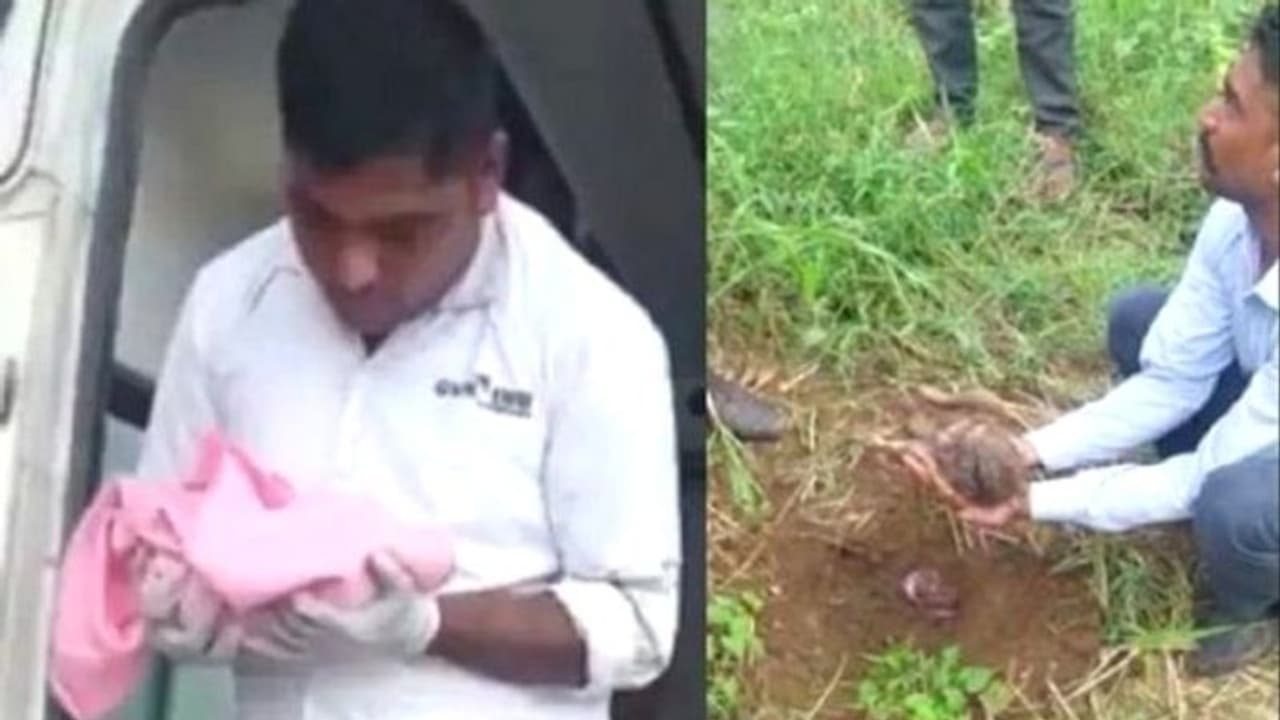 மண்ணில் இருந்து கேட்ட அந்த சத்தம்..பதற்றமான விவசாயி கடைசியில் காத்திருந்த அதிர்ச்சி ! மண்ணில் இருந்து கேட்ட அந்த சத்தம்..பதற்றமான விவசாயி கடைசியில் காத்திருந்த அதிர்ச்சி !