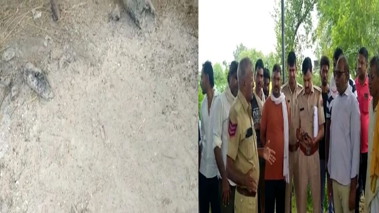 कोटा से चौंकाने वाली खबर: श्मशान घाट का नजारा देख पिता हैरान, 1 दिन पहले किया था बेटी का अंतिम संस्कार कोटा से चौंकाने वाली खबर: श्मशान घाट का नजारा देख पिता हैरान, 1 दिन पहले किया था बेटी का अंतिम संस्कार