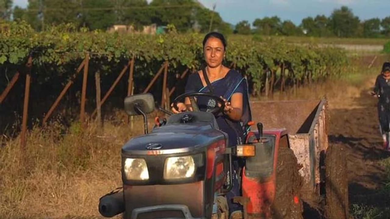 భర్త మృతి.. కుటుంబ పోషణ కోసం రైతుగా మారిన మహిళ.. ఏటా సంపాదన తెలిస్తే షాక్? భర్త మృతి.. కుటుంబ పోషణ కోసం రైతుగా మారిన మహిళ.. ఏటా సంపాదన తెలిస్తే షాక్?