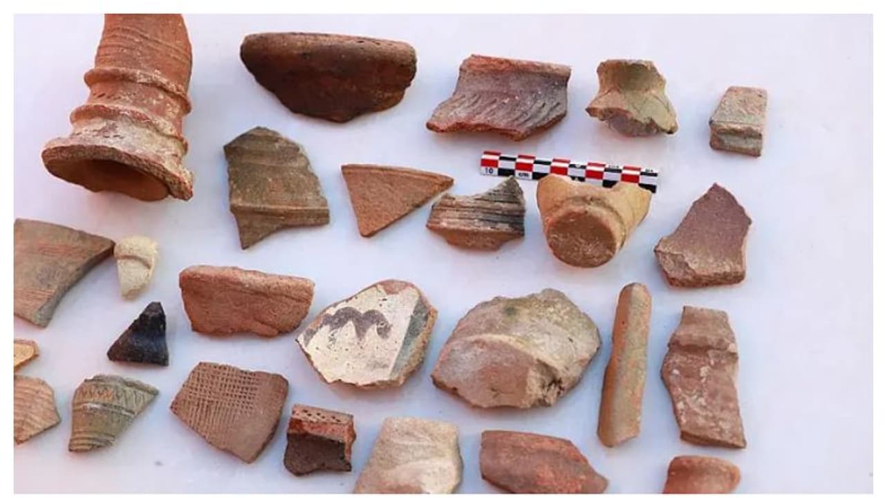 സൗദിയിലെ ഫറസാന് ദ്വീപില് 19 നൂറ്റാണ്ട് പഴക്കമുള്ള പുരാവസ്തുക്കള് കണ്ടെത്തി സൗദിയിലെ ഫറസാന് ദ്വീപില് 19 നൂറ്റാണ്ട് പഴക്കമുള്ള പുരാവസ്തുക്കള് കണ്ടെത്തി