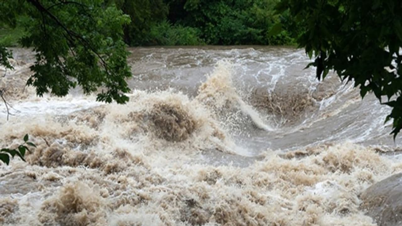 ഇടുക്കിയിൽ കാട്ടരുവിയിൽ വീണ് കാണാതായ ആദിവാസി ബാലനായി തെരച്ചിൽ തുടരുന്നു