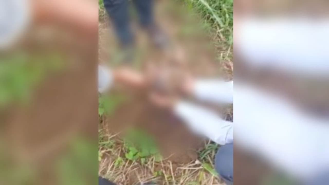 ചെറിയ കുഴിയിൽ നവജാത ശിശുവിനെ ജീവനോടെ കുഴിച്ചുമൂടി