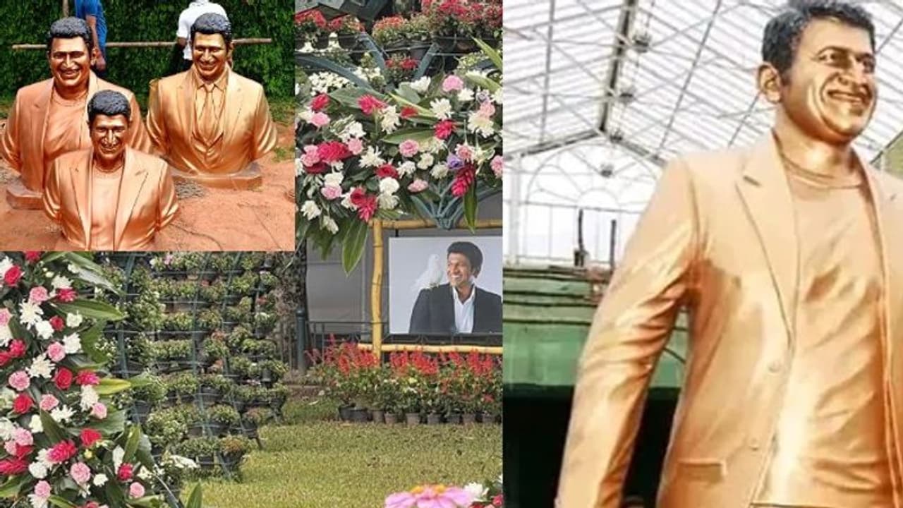 ಫಲಪುಷ್ಪದಲ್ಲಿ ಅರಳಿದ ಡಾ| ರಾಜ್, ಪುನೀತ್ ಜೀವನ ಫಲಪುಷ್ಪದಲ್ಲಿ ಅರಳಿದ ಡಾ| ರಾಜ್, ಪುನೀತ್ ಜೀವನ