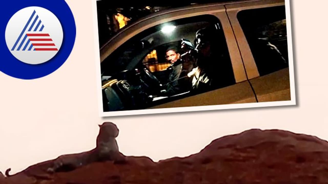 ಬಳ್ಳಾರಿ ಹೃದಯ ಭಾಗದ ಗುಡ್ಡದ ಮೇಲೆ ಚಿರತೆ ಪ್ರತ್ಯಕ್ಷ! ಬಳ್ಳಾರಿ ಹೃದಯ ಭಾಗದ ಗುಡ್ಡದ ಮೇಲೆ ಚಿರತೆ ಪ್ರತ್ಯಕ್ಷ!