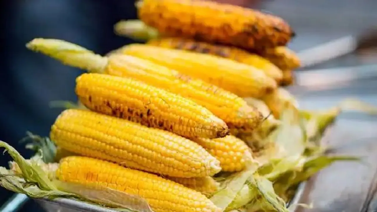 Food for Hair : ചോളം കഴിക്കുന്നത് മുടിക്ക് നല്ലത്, എങ്ങനെയെന്ന് അറിയാമോ? Food for Hair : ചോളം കഴിക്കുന്നത് മുടിക്ക് നല്ലത്, എങ്ങനെയെന്ന് അറിയാമോ?