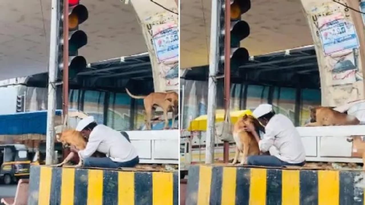 Street Dog : ഒരു നിമിഷം തിരക്കുകള്‍ മാറ്റിവച്ച് ഈ വീഡിയോ ഒന്ന് കണ്ടുനോക്കൂ...