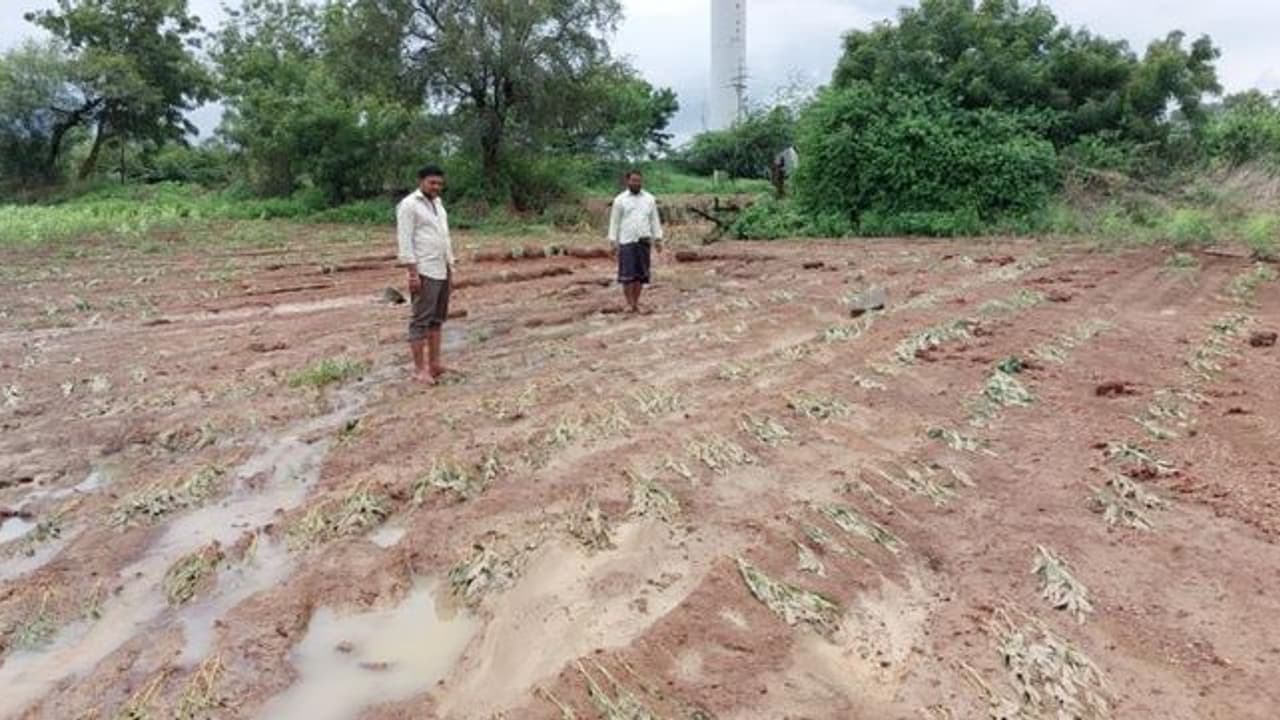ಕಾಲುವೆ ಒಡೆದು ಅಪಾರ ಪ್ರಮಾಣ ಜಮೀನುಗಳಿಗೆ ನೀರು