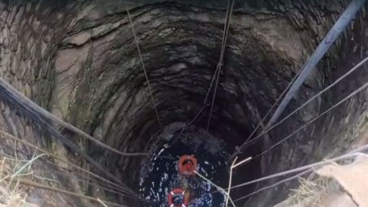 मां ने एक एक कर 4 बच्चों को कुंए में फेंका, खुद ने भी मरने का चला दांव...फिर जो हुआ वो शॉकिंग था मां ने एक एक कर 4 बच्चों को कुंए में फेंका, खुद ने भी मरने का चला दांव...फिर जो हुआ वो शॉकिंग था