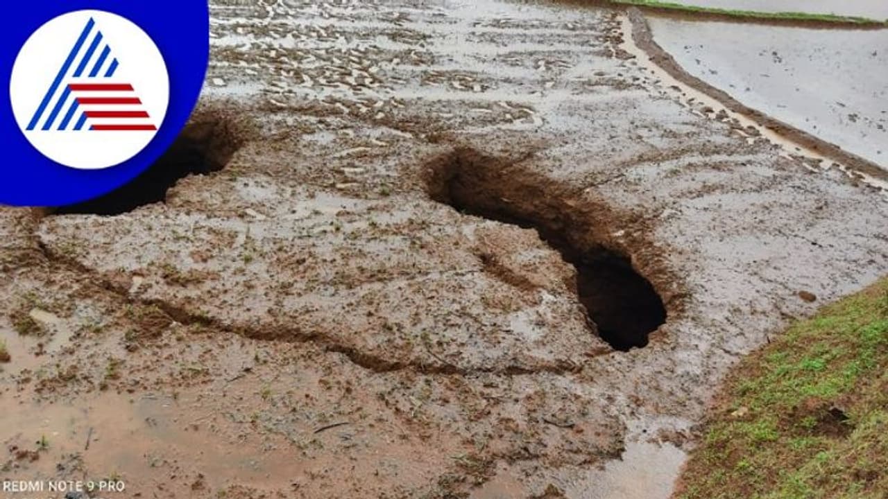 Chikkamagaluru Rains; ನಾಟಿಗೆ ಸಜ್ಜಾಗಿದ್ದ ಭತ್ತದ ಗದ್ದೆಯಲ್ಲಿ ಭೂಕುಸಿತ
