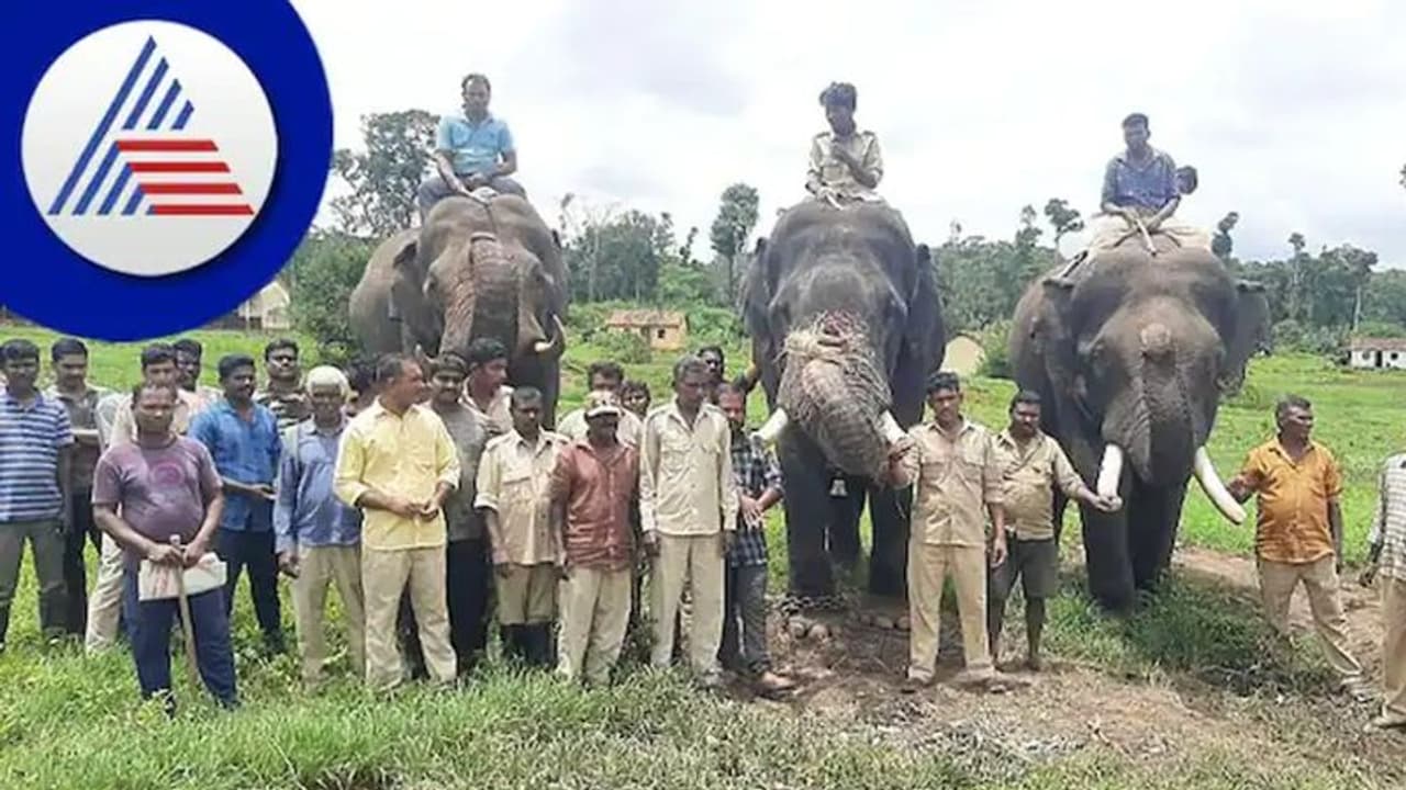 ಅದ್ಧೂರಿ ದಸರಾ ಆಚರಣೆಗೆ ಕೈಜೋಡಿಸಿ: ಮೈಸೂರು ಜಿಲ್ಲಾಡಳಿತ ಮನವಿ