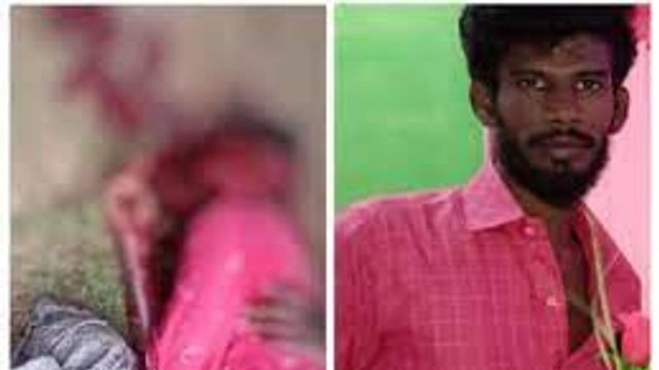 நெல்லையில் பட்டபகலில் பயங்கர கொலை.. சரமாரியாக வெட்டிய மர்மகும்பல்.. இரத்த வெள்ளத்தில் சரிந்த வாலிபர்.. நெல்லையில் பட்டபகலில் பயங்கர கொலை.. சரமாரியாக வெட்டிய மர்மகும்பல்.. இரத்த வெள்ளத்தில் சரிந்த வாலிபர்..