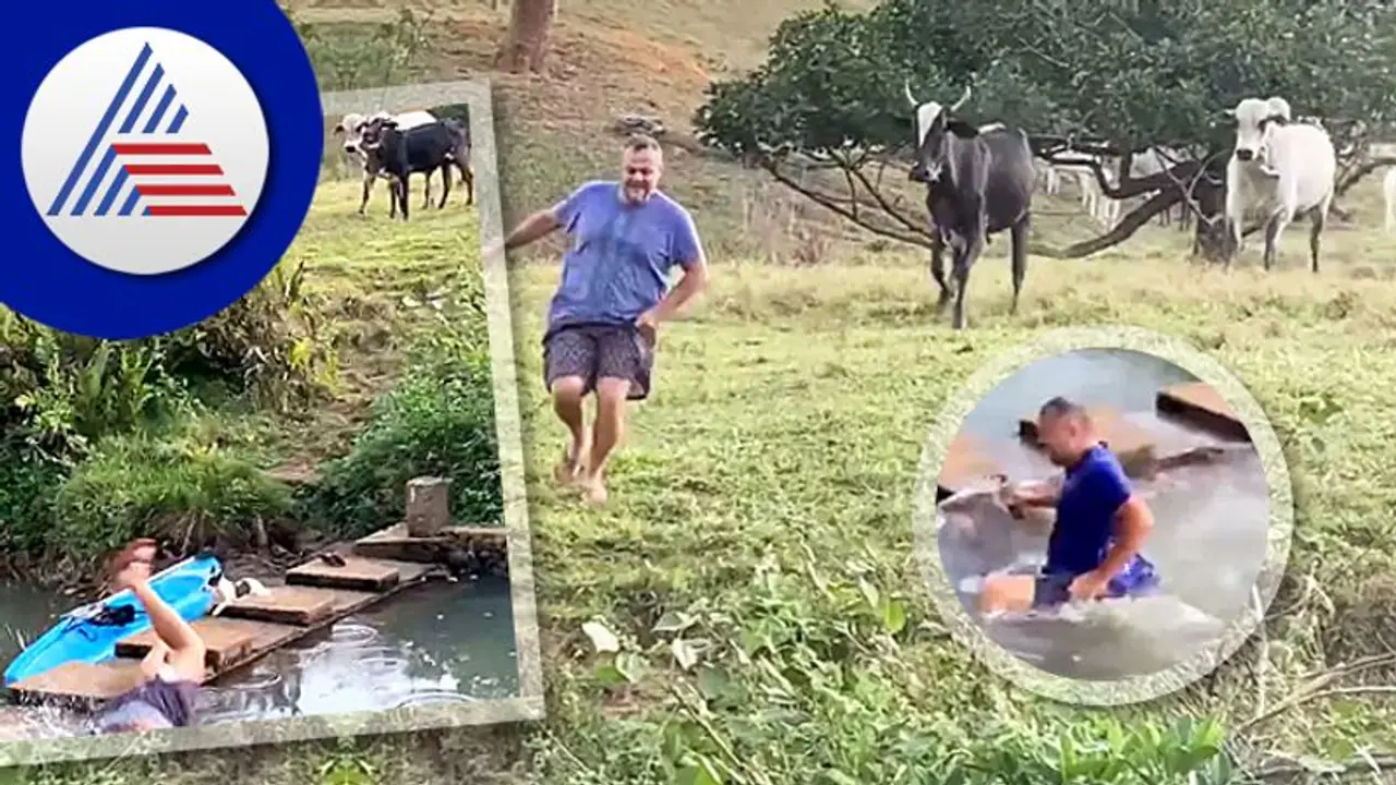 ಕೆಣಕಲು ಬಂದವನ ಓಡಿಸಿದ ಹಸುಗಳು: ನೋಡಿ ವೈರಲ್ ವಿಡಿಯೋ ಕೆಣಕಲು ಬಂದವನ ಓಡಿಸಿದ ಹಸುಗಳು: ನೋಡಿ ವೈರಲ್ ವಿಡಿಯೋ