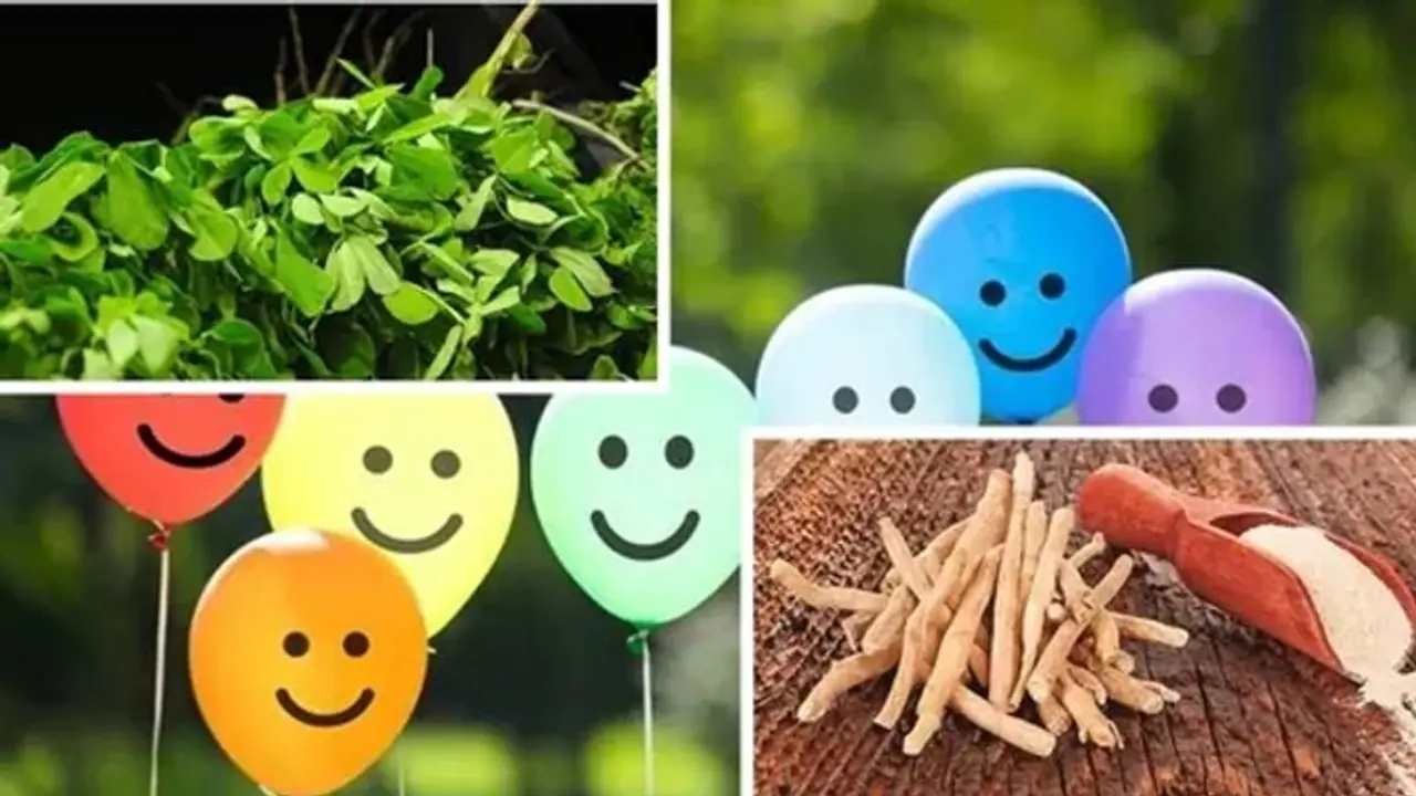  ದೇಹದಲ್ಲಿ ಹ್ಯಾಪಿ ಹಾರ್ಮೋನು ಹೆಚ್ಚಿಸುವ 7 ಅದ್ಭುತ ಗಿಡಮೂಲಿಕೆಗಳು