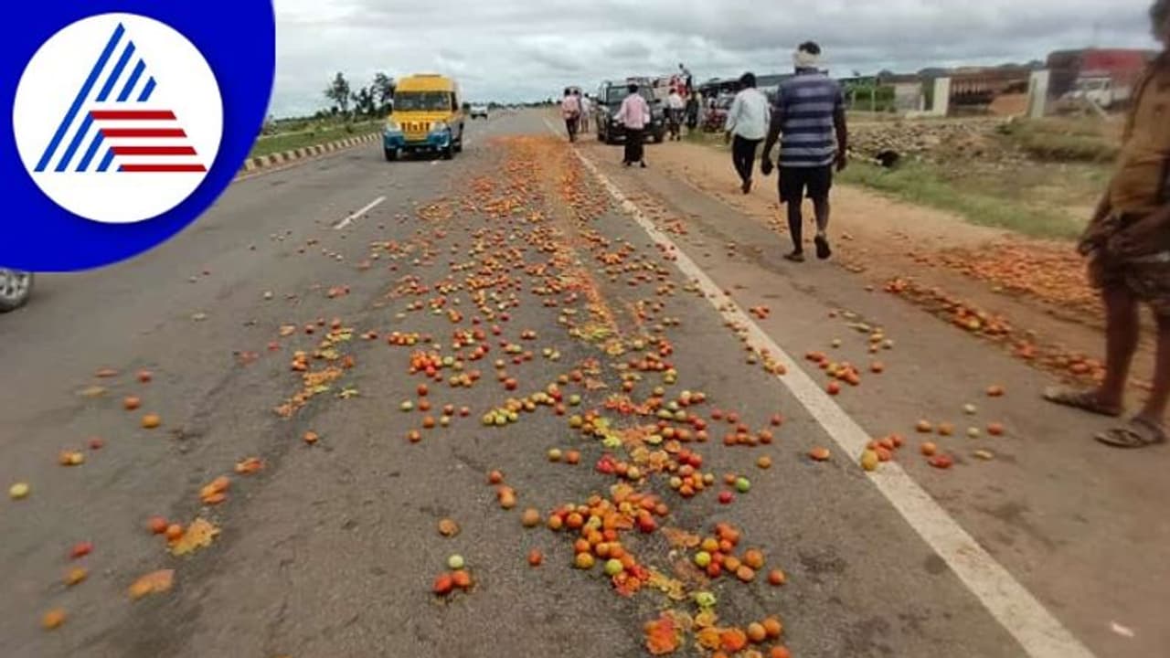 ಟೊಮ್ಯಾಟೊ ಬೆಲೆ ಕುಸಿತ, ಬೇಸತ್ತು ರಸ್ತೆಗೆ ಸುರಿದ ಕೋಟೆನಾಡಿನ ಅನ್ನದಾತ