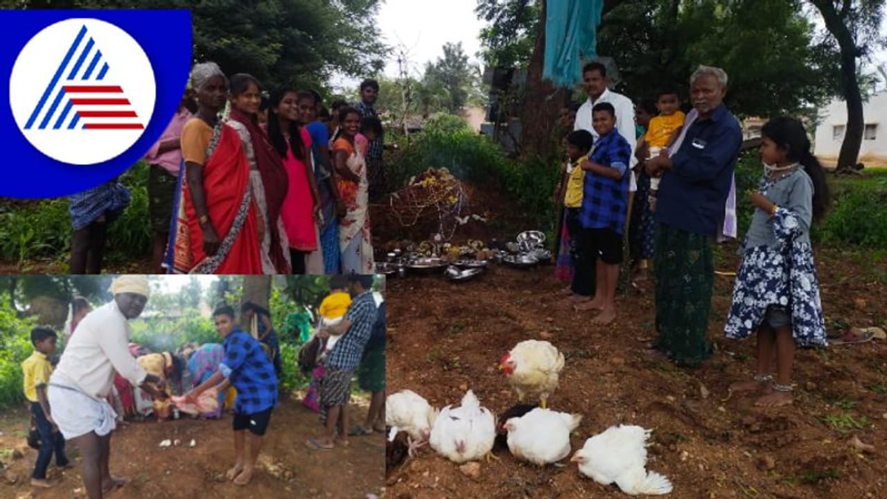 ನಾಗರಪಂಚಮಿ ಬಳಿಕ ವಿಶೇಷ ಆಚರಣೆ, ಹಾವಿಗೆ ಹಾಲಲ್ಲ ರಕ್ತಾಭಿಷೇಕ ಮಾಡ್ತಾರೆ ! ನಾಗರಪಂಚಮಿ ಬಳಿಕ ವಿಶೇಷ ಆಚರಣೆ, ಹಾವಿಗೆ ಹಾಲಲ್ಲ ರಕ್ತಾಭಿಷೇಕ ಮಾಡ್ತಾರೆ !
