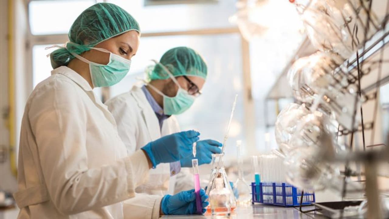 World's first 'synthetic embryo' : ബീജമോ അണ്ഡമോ ഇല്ലാതെ കൃത്രിമ ഭ്രൂണം നിര്‍മ്മിച്ച് ഗവേഷകർ 