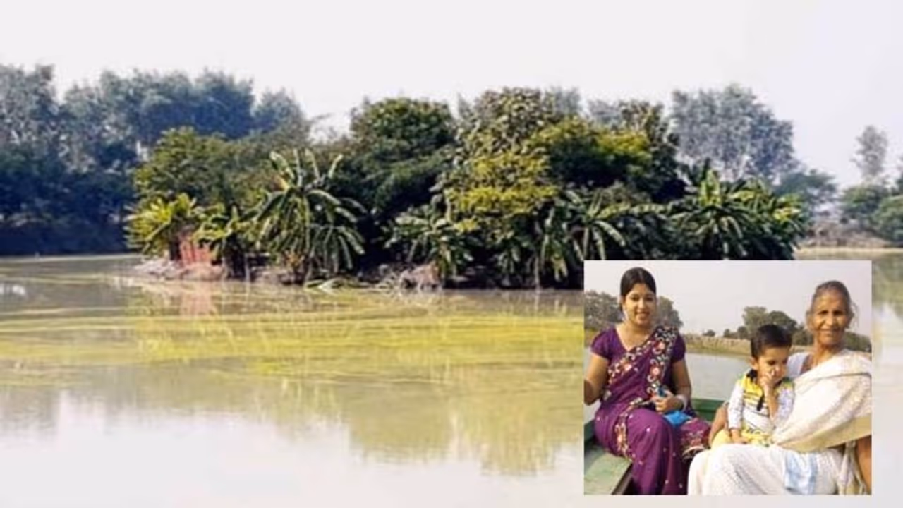 వ్యవసాయ భూమిని దీవిగా మార్చేసిన 68 ఏళ్ళ మహిళ.. ఆమె ఒక్క ఆలోచనతో! 